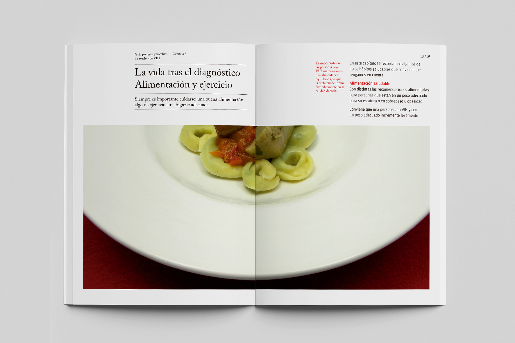 Guía VIH. Ministerio de Sanidad de España. Diseño de doble página