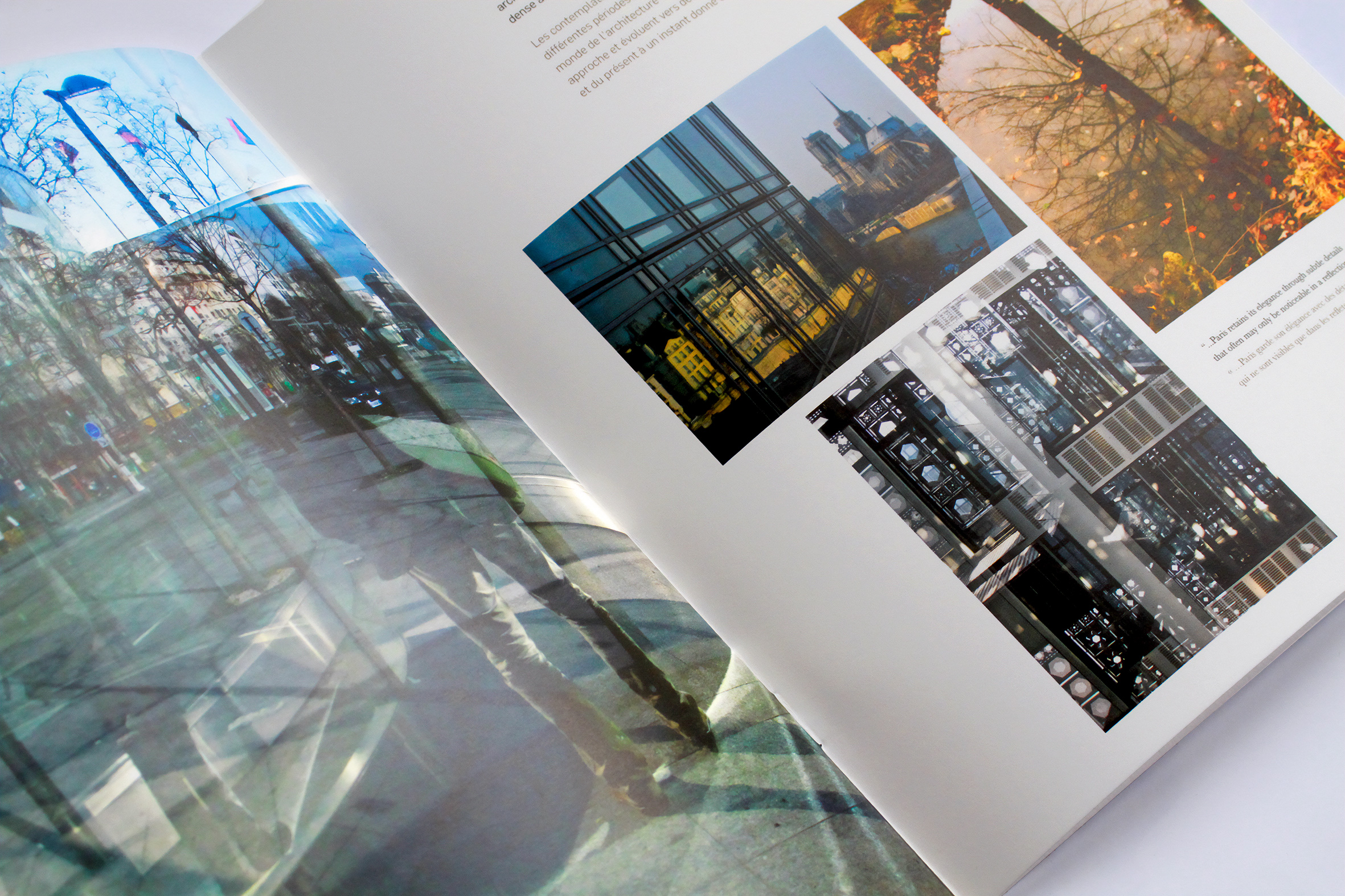 Stanford University. Bing Overseas Studies Program. Diseño del folleto, páginas interiores 2.