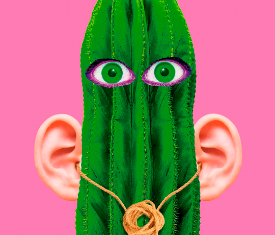 Revista Gaceta Audio 31